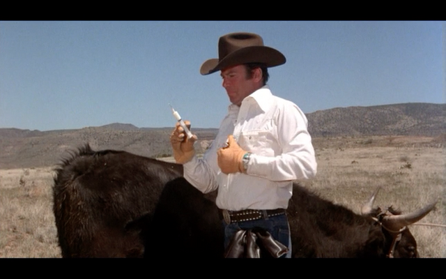 File:ShatnerSpiderCow.png