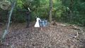 Thumbnail for version as of 10:53, September 16, 2011