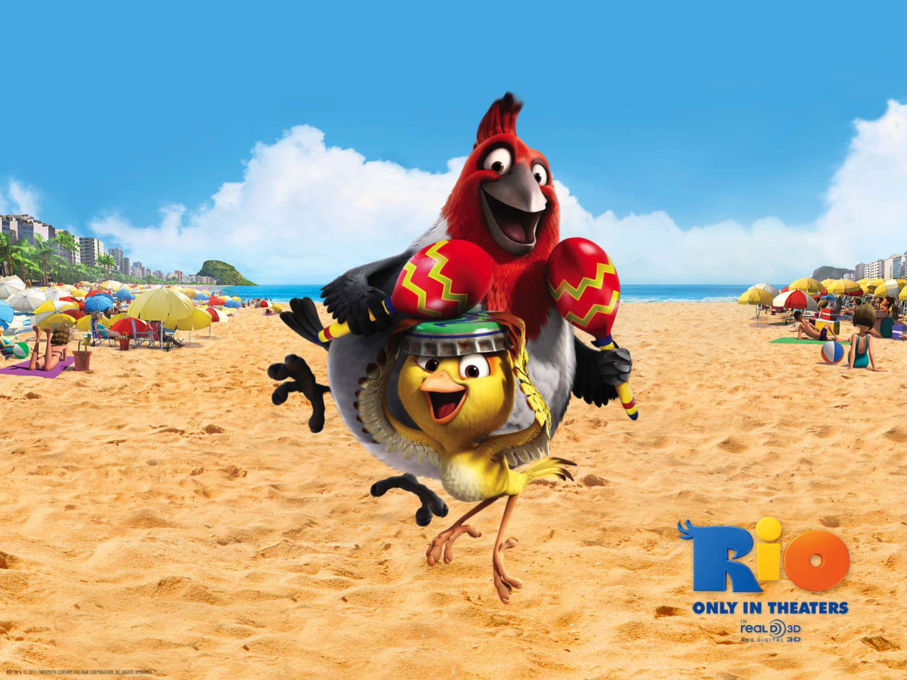 pedro-wiki-rio-pelicula-fandom-powered-by-wikia