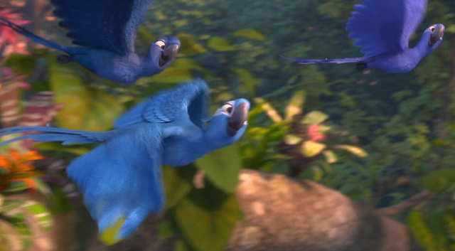 File:Lady macaws.png