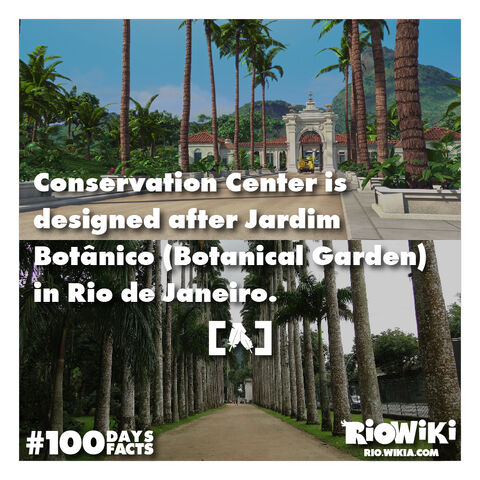 File:Rio-Wiki-100Days100Facts-006.jpg
