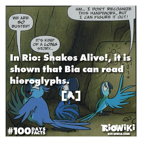 File:Rio-Wiki-100Days100Facts-064.jpg