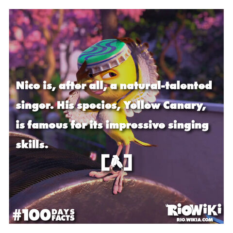 File:Rio-Wiki-100Days100Facts-010.jpg