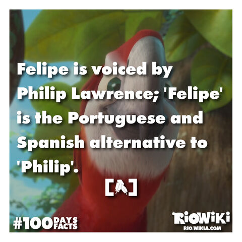 File:Rio-Wiki-100Days100Facts-016.jpg