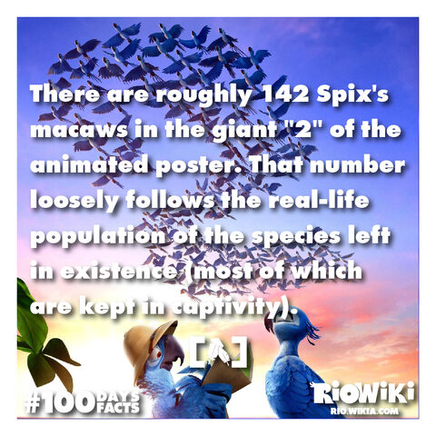 File:Rio-Wiki-100Days100Facts-025.jpg