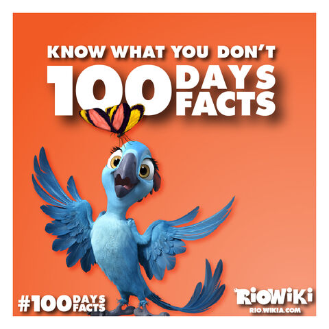 File:Rio-Wiki-100Days100Facts-000.jpg