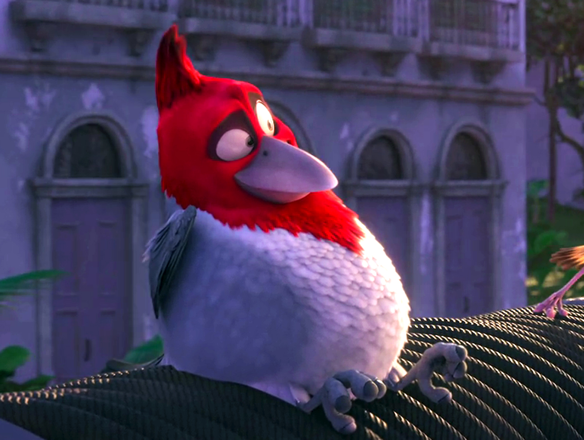 category-bird-species-rio-wiki-fandom-powered-by-wikia