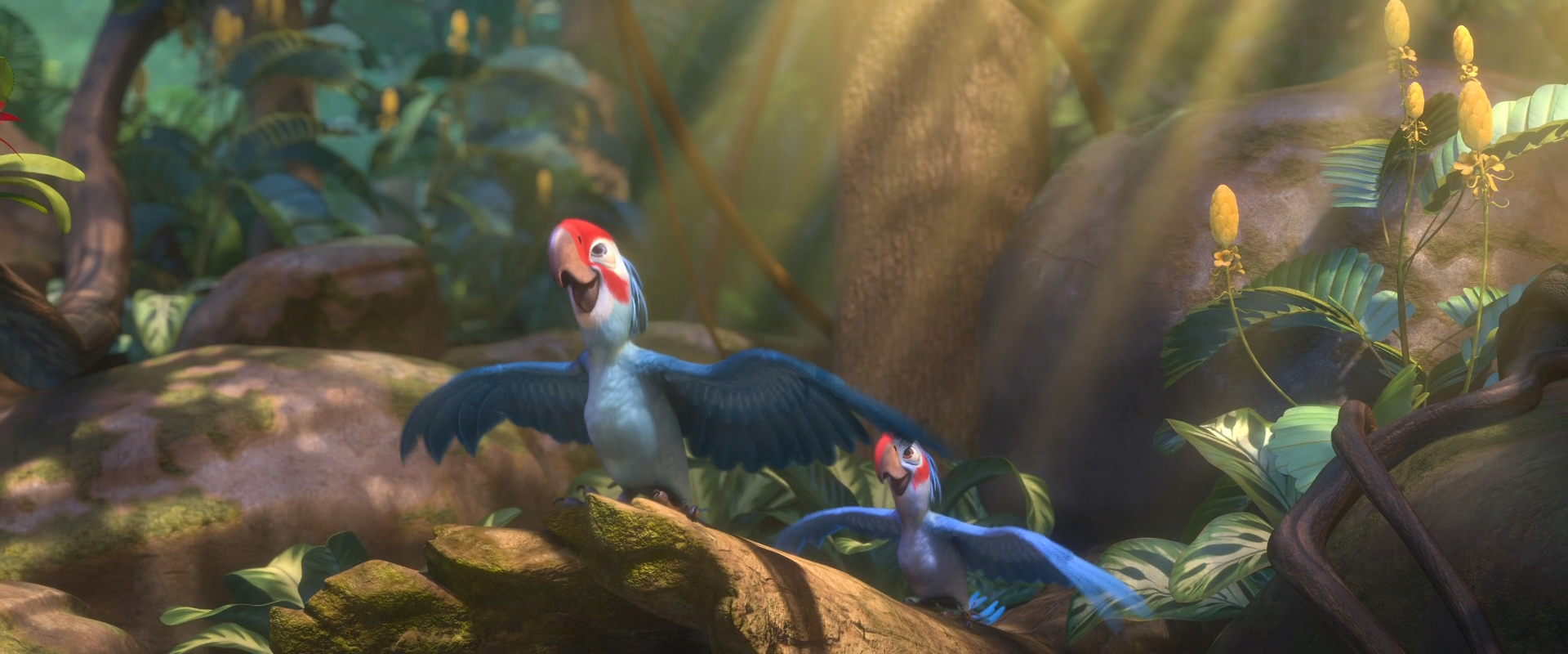 Image Rio 2 beautiful creatures.png Rio Wiki FANDOM