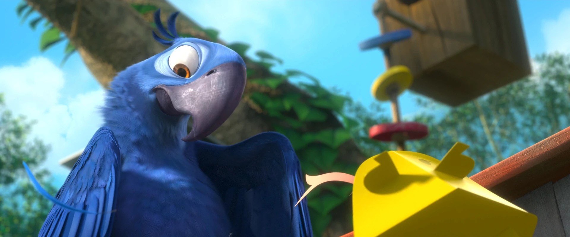 Image - Blu 100-Jewel 100 118.jpg Rio Wiki Fandom powered by Wikia.