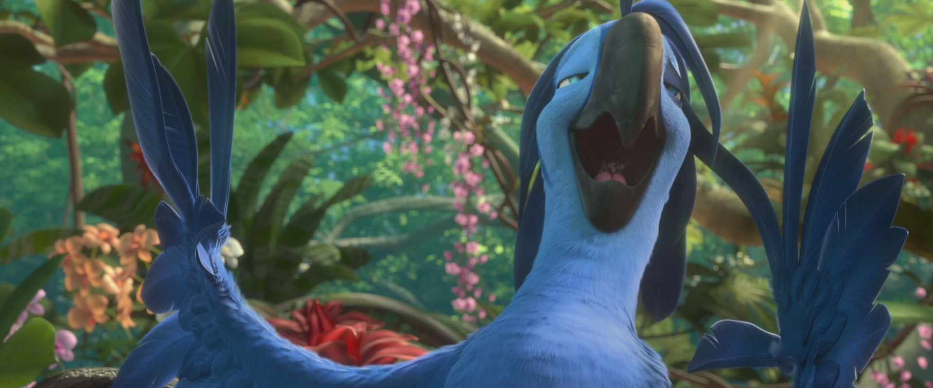 Image Roberto Singing jpg Rio Wiki FANDOM Powered By Wikia Image Roberto Singing jpg Rio Wiki FANDOM Powered By Wikia
