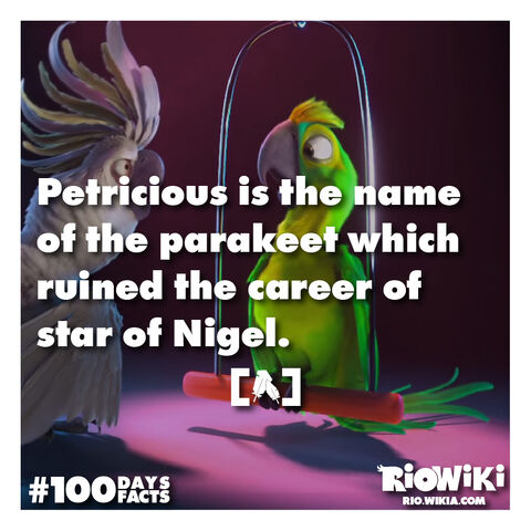 File:Rio-Wiki-100Days100Facts-035.jpg
