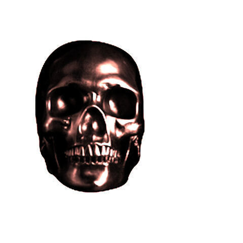 File:Skull3.jpg