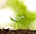 Thumbnail for version as of 16:12, April 30, 2014