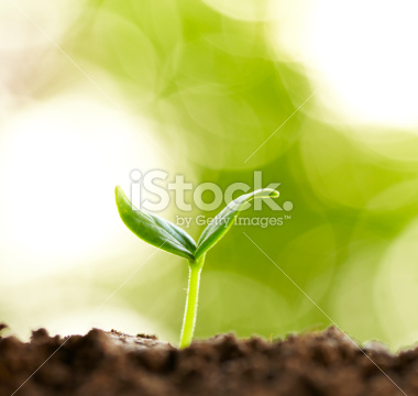 File:Life.jpg