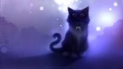 ZZ Black Cat