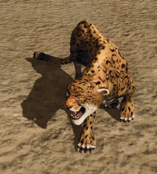 R2 Cr Jaguar