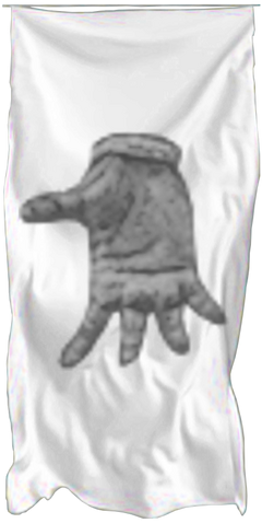 File:CrowPirates-Flag Fullsize.png