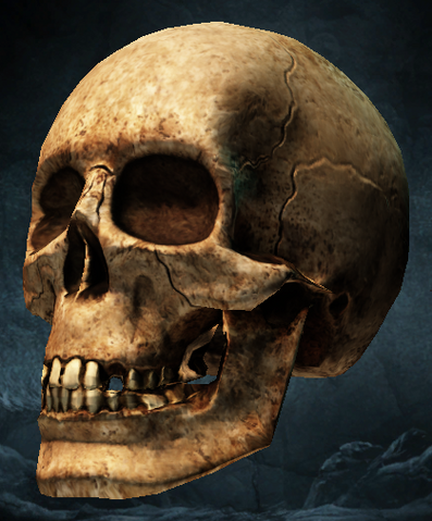 File:LI Skull of Death.png