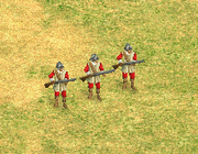 Arquebusiers European