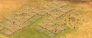 Food Farm