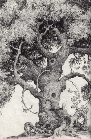 File:Big Root.png