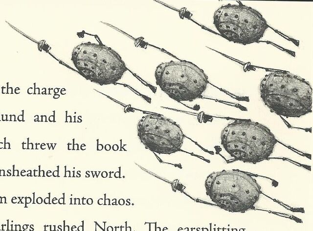 File:Eggs030007.jpg