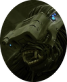 AllianceAlpha