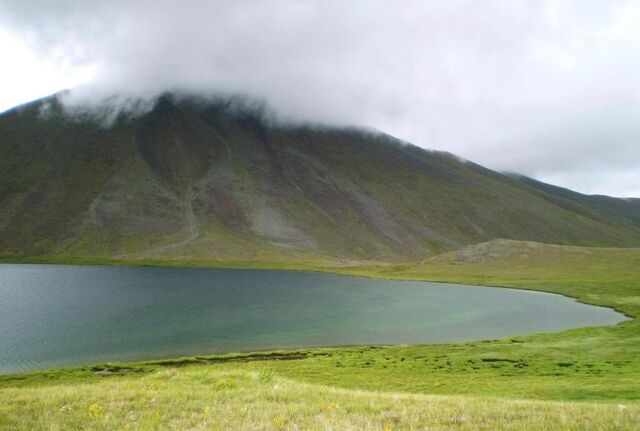 File:Erayus.jpg