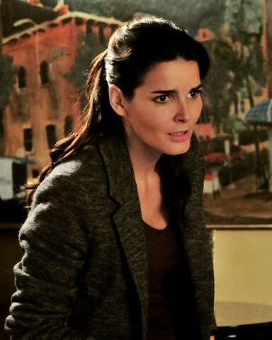 File:Rizzoli-rizzoli-and-isles-14356200-400-500.jpg