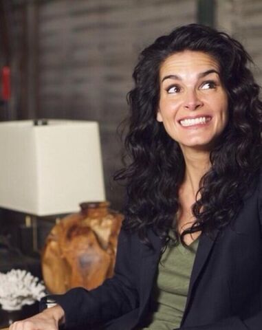 File:Rizzoli-Isles-image-rizzoli-and-isles-36683493-397-500.jpg