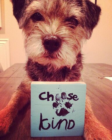 File:Gidget-choose-kind.jpg
