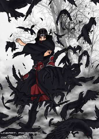 File:Crow.jpg