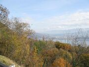 IMG 1110L.jpg