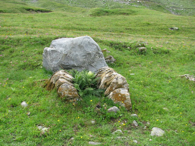 Fichier:IMG 1908.jpg