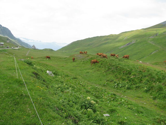 Fichier:IMG 1916.jpg