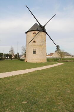 IMG 2756L.jpg