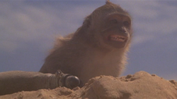 Max's monkey