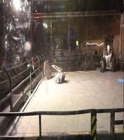 Robots live!