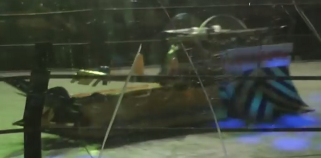 File:PanicAttack2012behmoth.png
