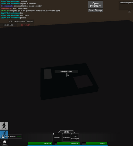 File:RobloxScreenShot06102014 144421024.png