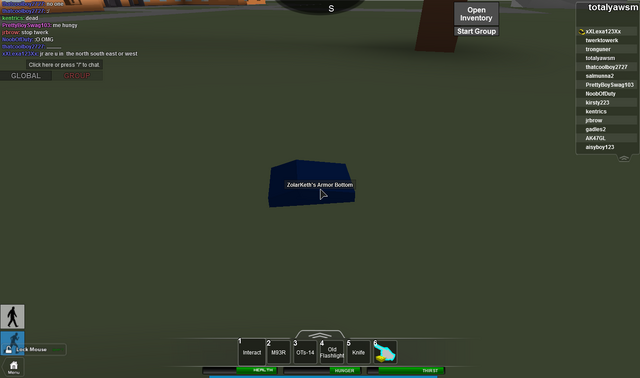 File:RobloxScreenShot05312014 151551898.png
