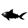 StatSharkeyes