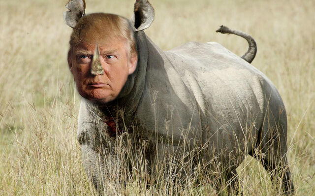 File:Rhino-trump.jpg
