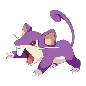 019 rattata-1-