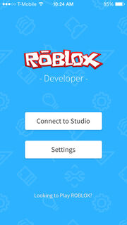 ROBLOX Developer Menu Screen