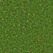 Roblox Grass Material