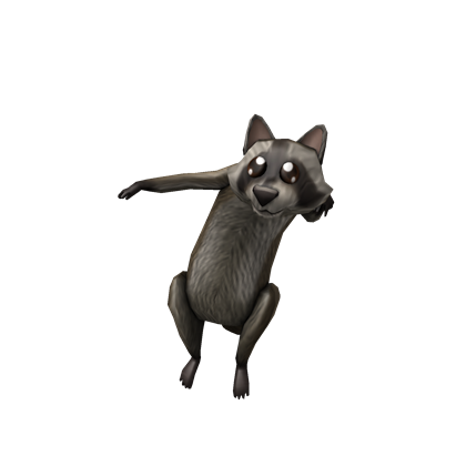 Catalog:Shoulder Raccoon | ROBLOX Wikia | FANDOM powered ... Catalog:Shoulder Raccoon | ROBLOX Wikia | FANDOM powered ...