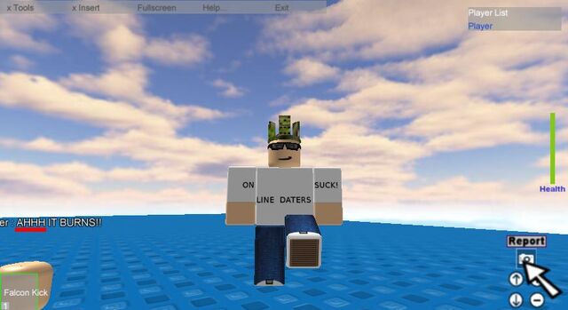 File:RobloxScreenShot11292010 220444293.jpg