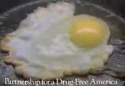 Brain-and-drugs