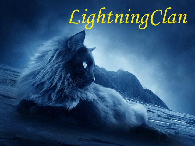 File:LightningClan.png